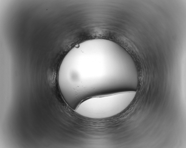 X0000093770660200710160857