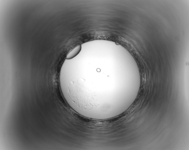 X0000093770663200710160857