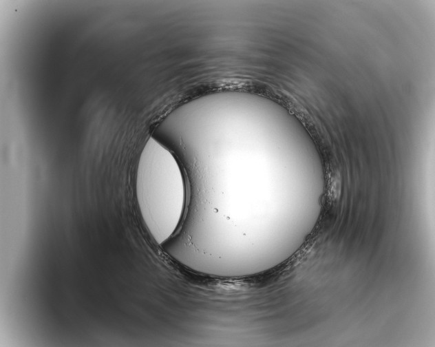 X0000093770666200710160857