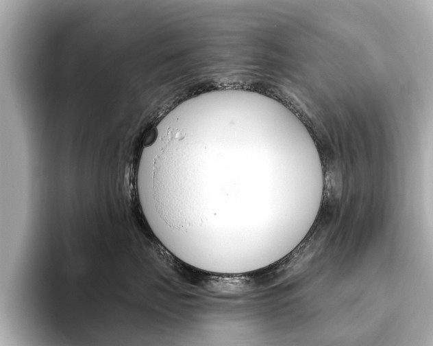 X0000093770671200710160857
