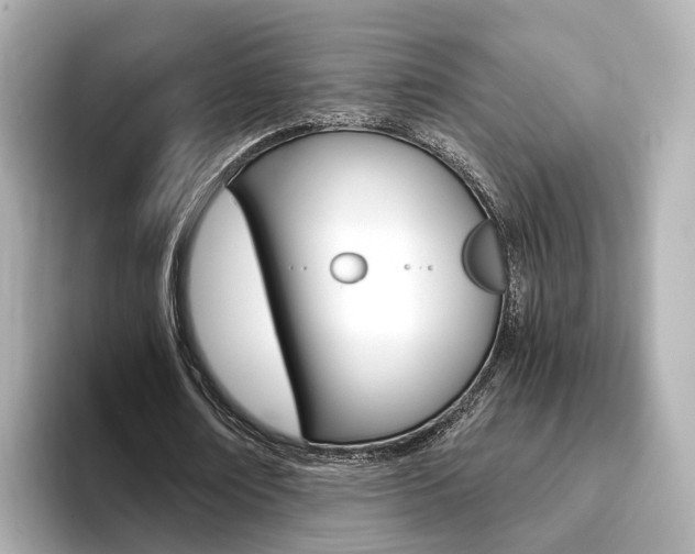X0000093770674200710160857