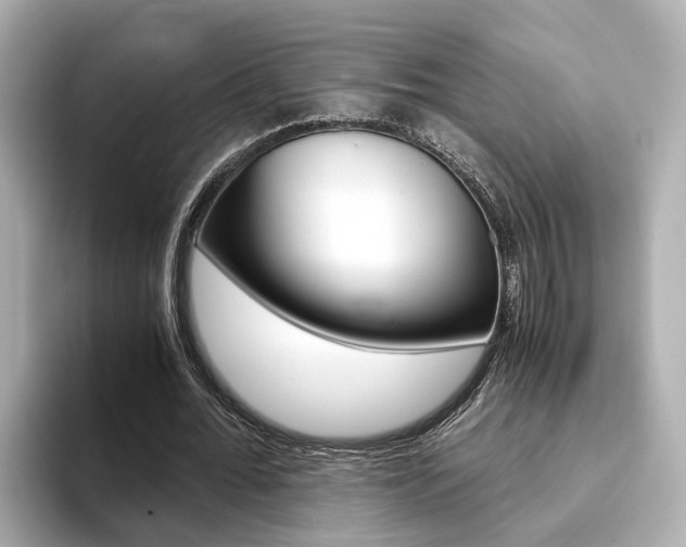 X0000093770676200710160857