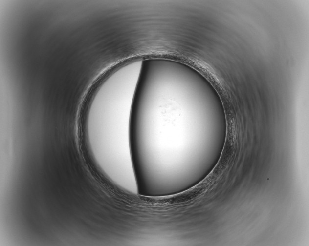 X0000093770680200710160857