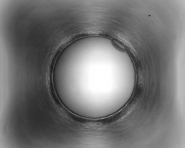 X0000093770681200710160857