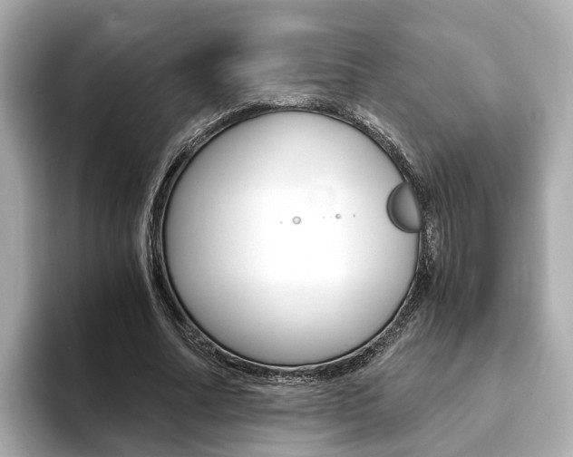 X0000093770682200710160857