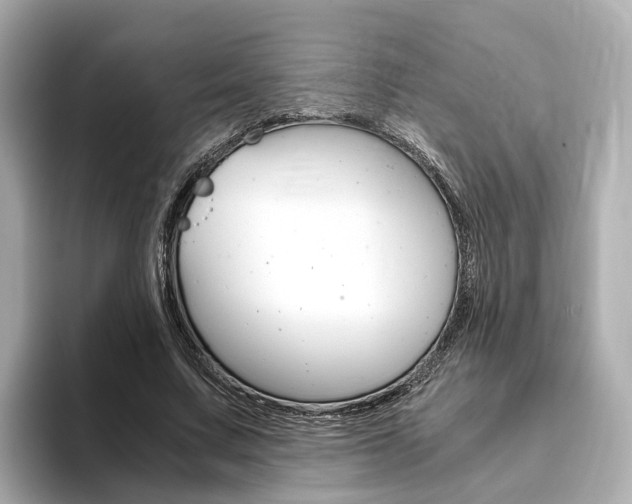 X0000093770683200710160857
