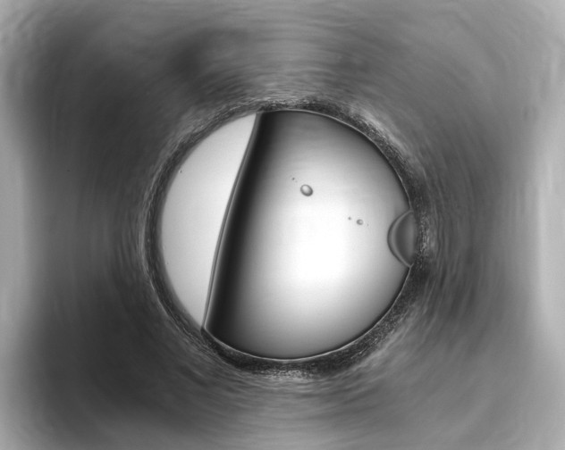 X0000093770685200710160857