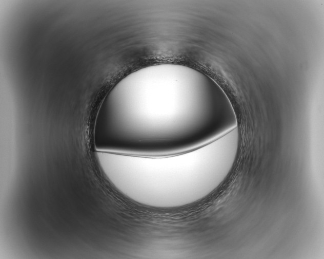X0000093770689200710160857