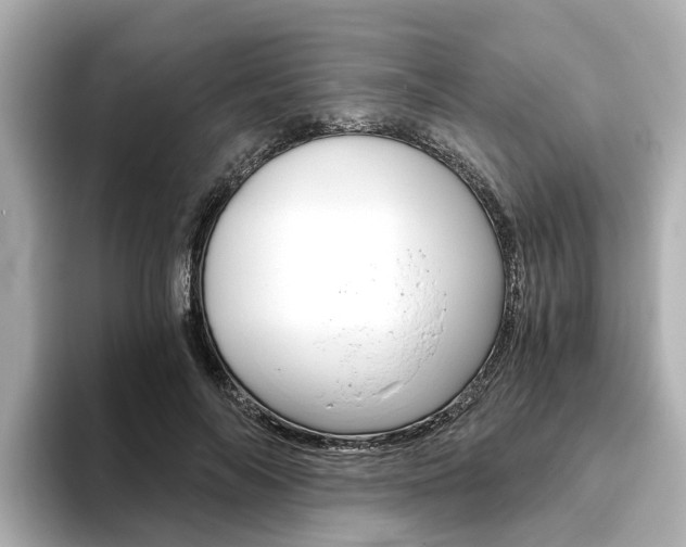 X0000093770694200710160857