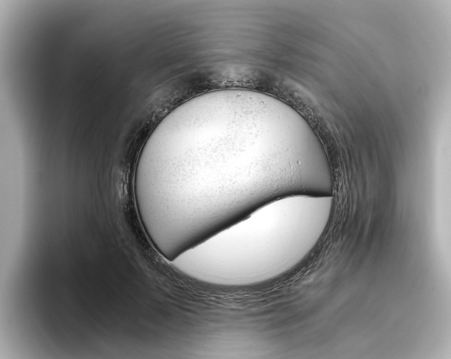 X0000093770695200710160857