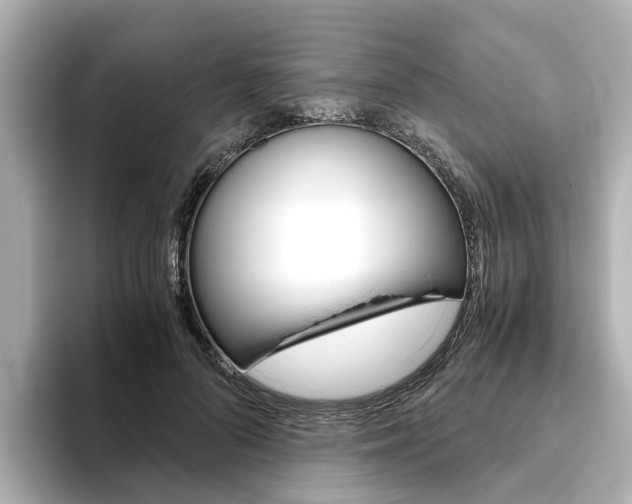X0000093770696200710160857