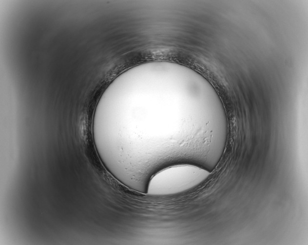 X0000093770698200710160856