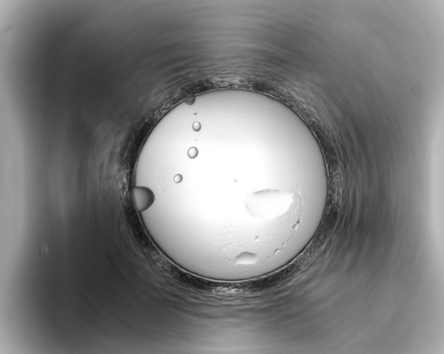 X0000093770699200710160856