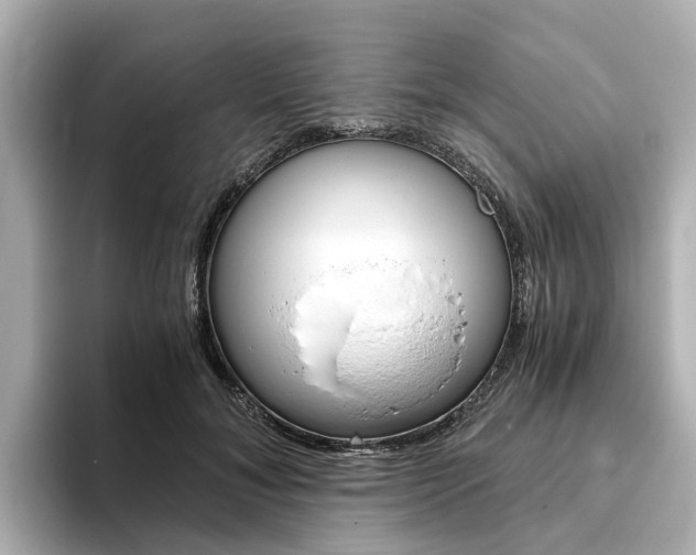 X0000093770700200710160856