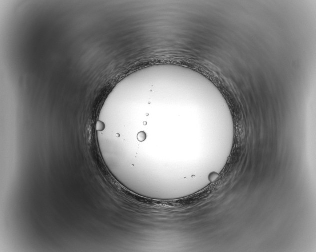 X0000093770703200710160856