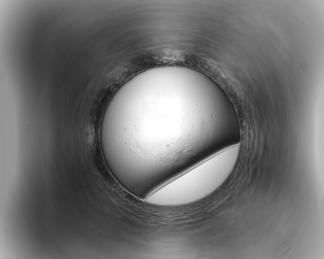 X0000093770704200710160856