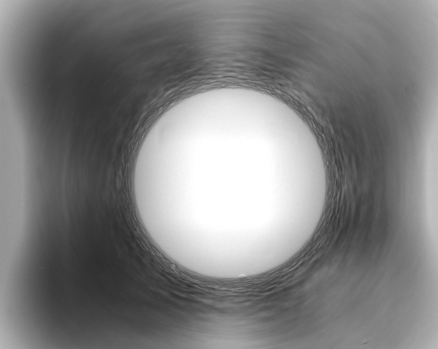 X0000093770705200710160856