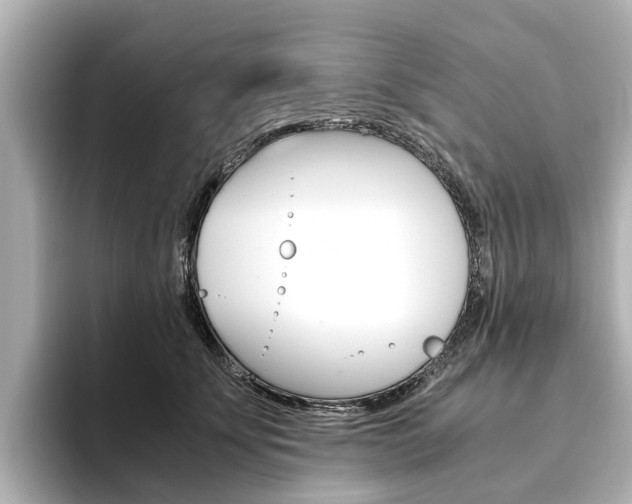 X0000093770707200710160856
