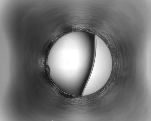 X0000093770708200710160856