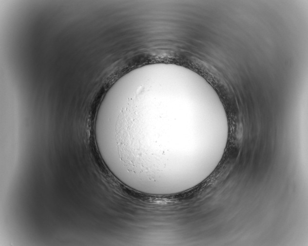 X0000093770710200710160856