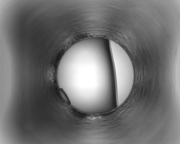 X0000093770712200710160856