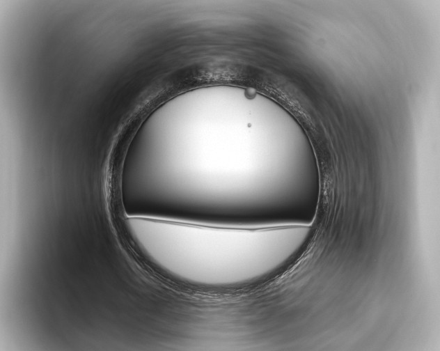 X0000093770722200710160856