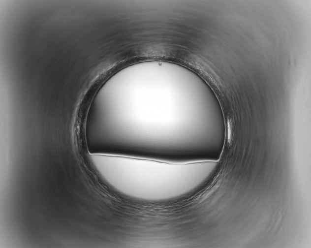 X0000093770723200710160856