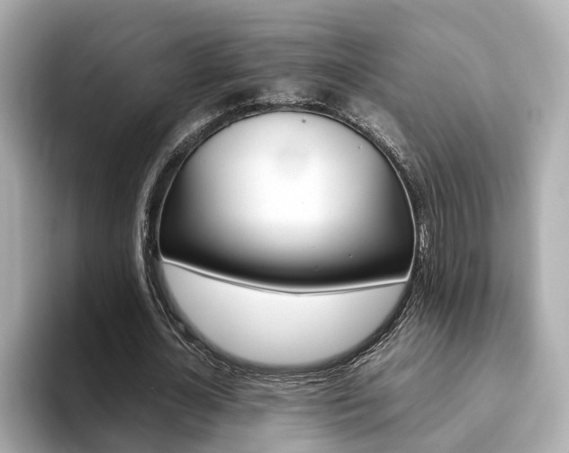 X0000093770724200710160856