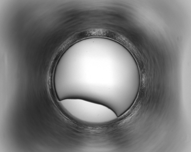 X0000093770725200710160856