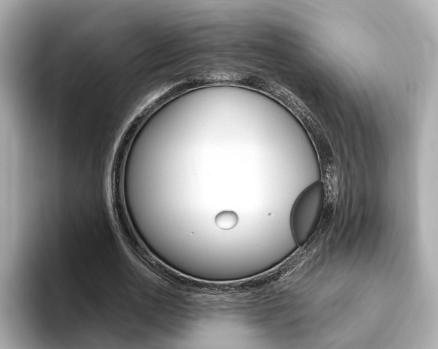 X0000093770726200710160856