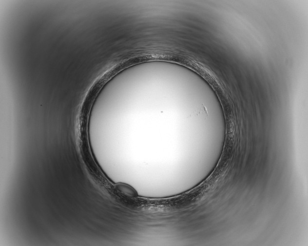 X0000093770730200710160856