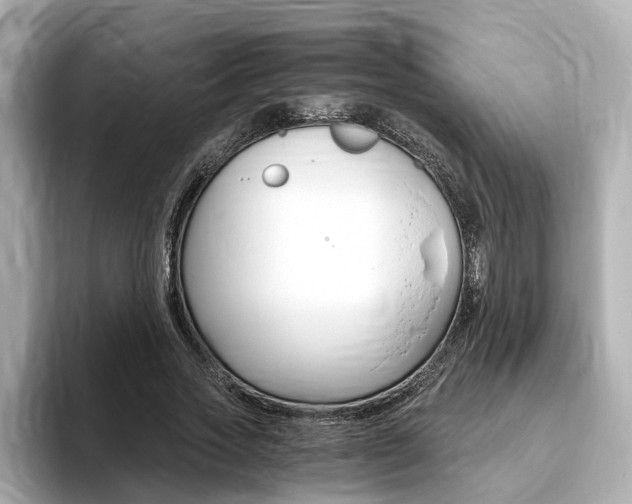 X0000093770733200710160856