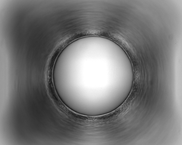 X0000093770736200710160856