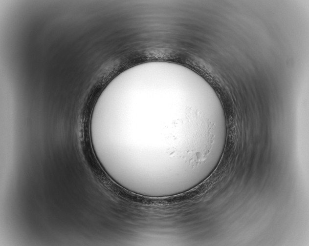 X0000093770738200710160856