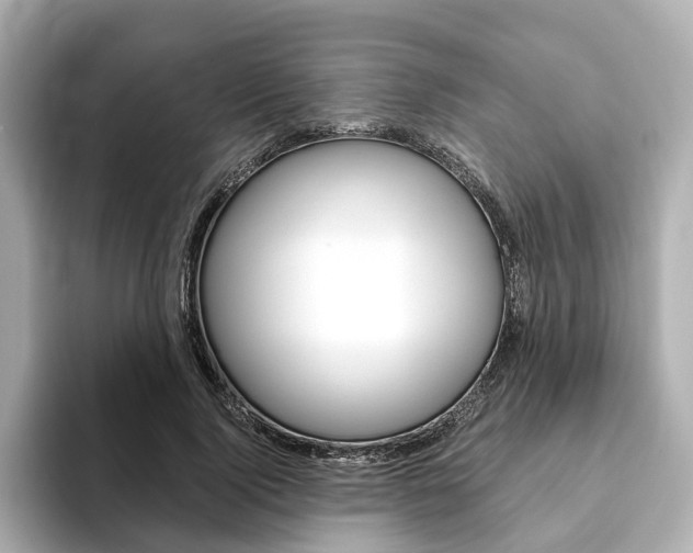 X0000093770740200710160856