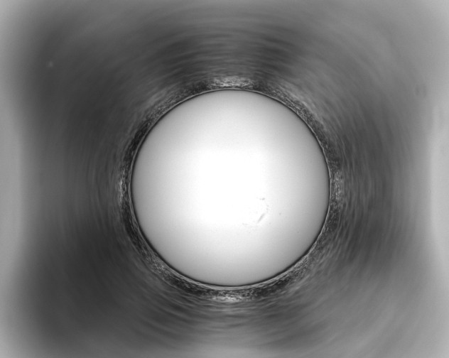 X0000093770741200710160856