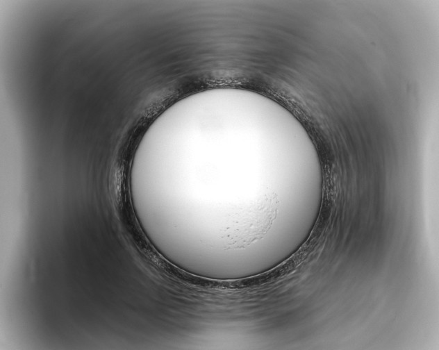 X0000093770742200710160856