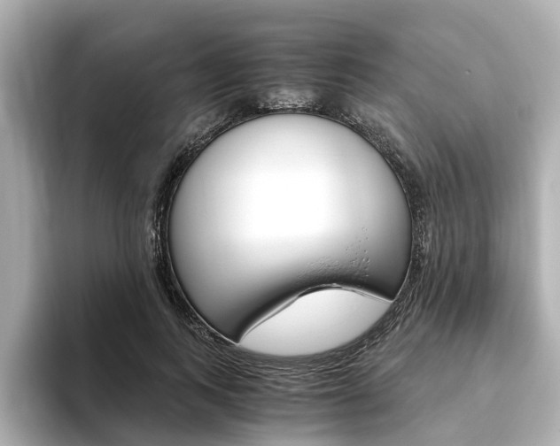X0000093770743200710160856