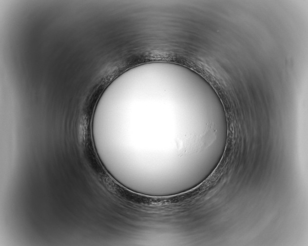 X0000093770744200710160856