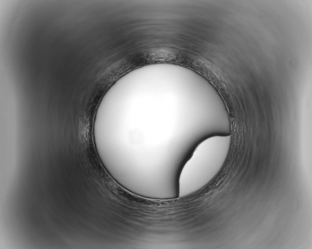 X0000093770745200710160856