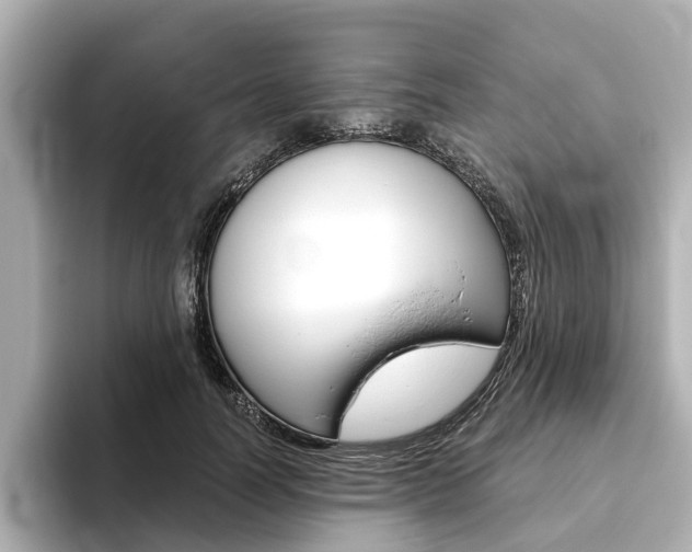 X0000093770746200710160856