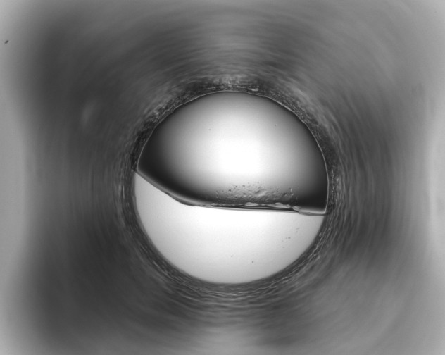 X0000093770750200710160856