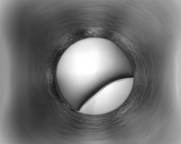 X0000093770751200710160856