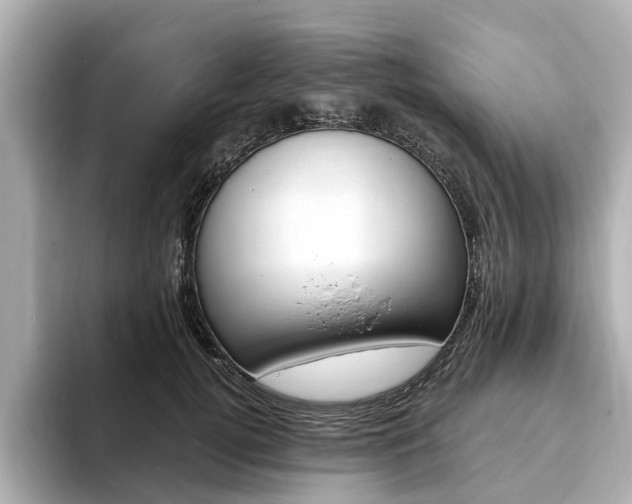 X0000093770752200710160856