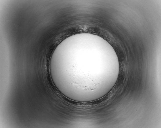 X0000093770754200710160856