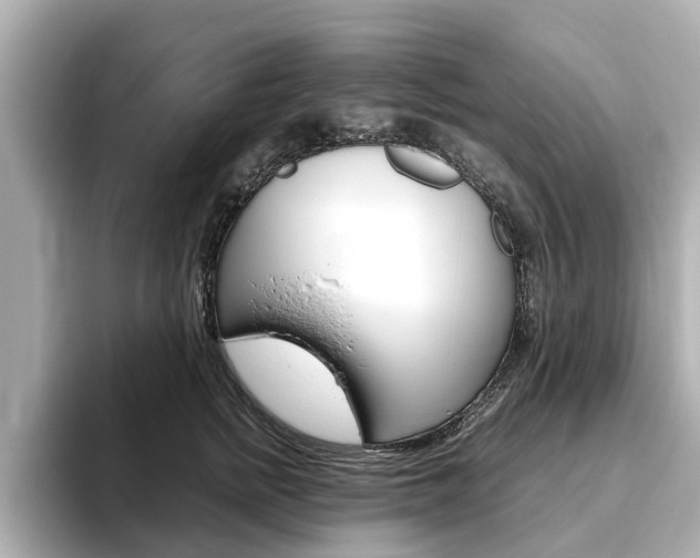 X0000093770758200710160856