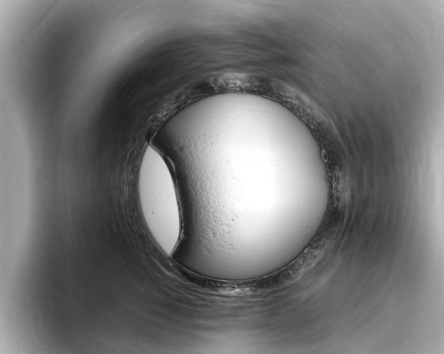 X0000093770760200710160856