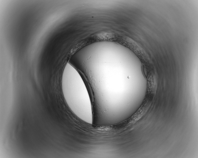 X0000093770762200710160856