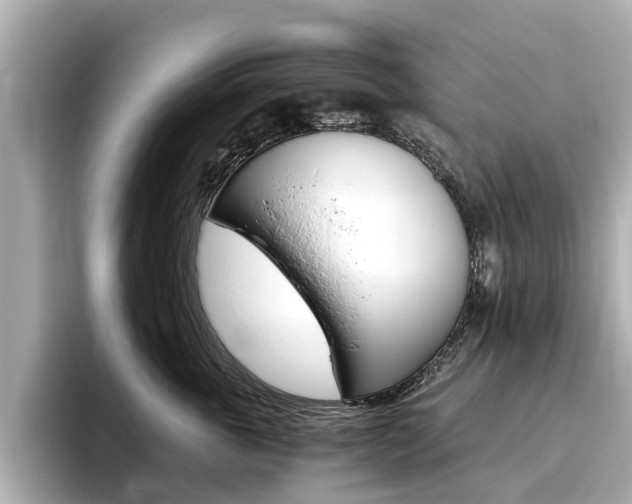 X0000093770763200710160856