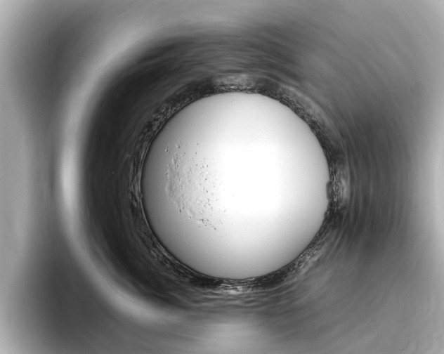 X0000093770764200710160856
